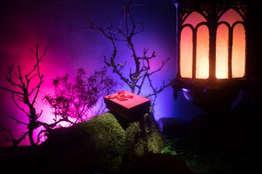 Sevgililer günü aşk kavramı. Gece güzel sanat dekorasyon küçük giftbox ve eski vintage fener ile. Giftbox gece taşlarla süslü sahte ormandaki. Boş alan seçici odak