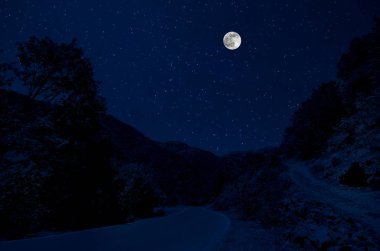 Dağ yolu ormandaki bir dolunay gecesi. Ülke yolun gece büyük moon ile doğal gece manzarası