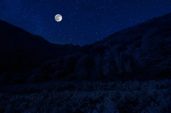 Vackra Nattlandskap Med Stjärnklar Natt Berg Och Skog Natt Skog — Stockfoto