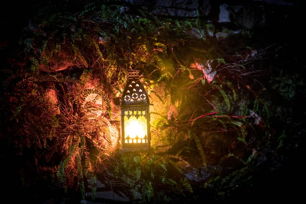 Piękne Kolorowe Podświetlane Lampy Ogrodzie Mglistej Nocy Styl Retro Latarnia — Zdjęcie stockowe