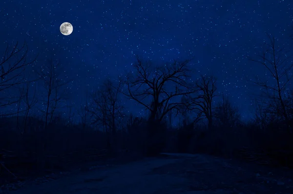 Mountain Road Través Del Bosque Una Noche Luna Llena Paisaje — Foto de Stock