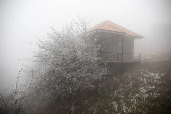 Misteriosa Casa Bosque Con Niebla Árbol Vieja Casa Espeluznante Tierra —  Fotos de Stock
