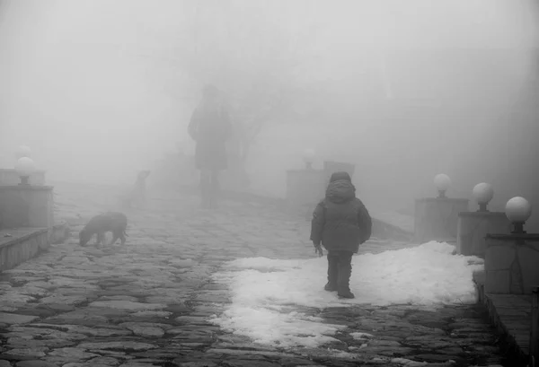 少年と雨霧の日の田舎の道に犬 グレースケール 道を歩いて小さな犬と少年 — ストック写真