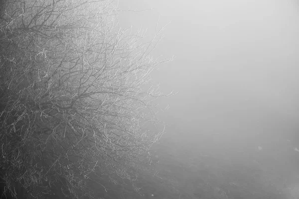 Краєвид Красивою Туман Ліси Пагорбі Або Стежка Через Таємничий Зимовий — стокове фото
