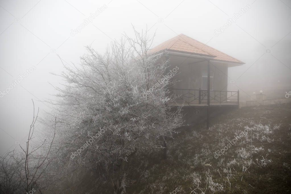 Mysterious house in the forest with fog and a tree. The old spooky house on the land of nowhere. Winter Landscape