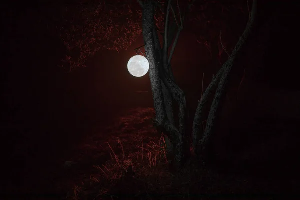 Beautiful Moon lamp in the garden in misty night. Retro style lantern at night outdoor. Selective focus