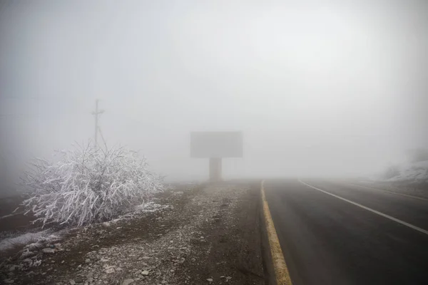 Paysage Avec Beau Brouillard Forêt Sur Colline Sentier Travers Une — Photo