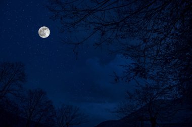 Yıldızlı gece dağlar ve orman ile güzel gece manzarası. Gece orman yeşil çayır ve dağ parlak yıldızlı gece veya görünümünde Samanyolu