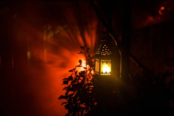 Beautiful Colorful Illuminated Lamp Garden Misty Night Retro Style Lantern — Stock Photo, Image