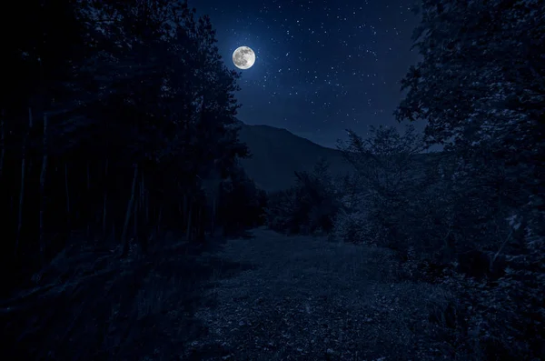 Beautiful night landscape with starry night mountains and forest. Night forest with green meadow and mountains in bright starry night or view of milky way