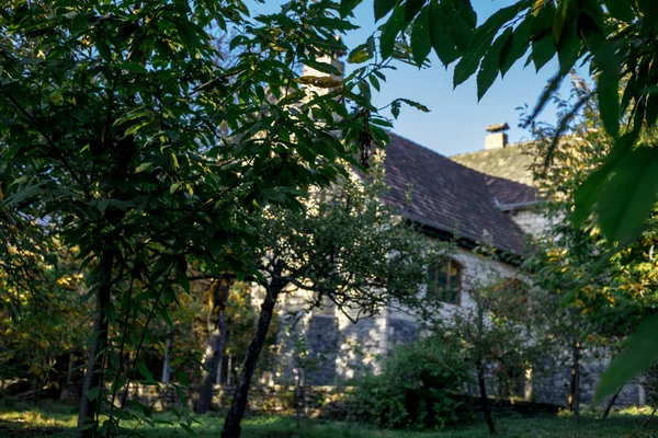 Bella Casa Villaggio Paesaggistico Con Alberi Nella Foresta Durante Autunno — Foto Stock