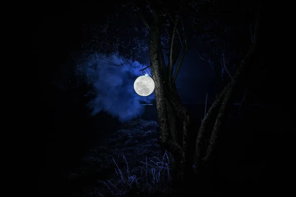 Beautiful Moon lamp in the garden in misty night. Retro style lantern at night outdoor. Selective focus