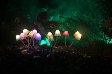 Gizem karanlık ormanın yakın çekim içinde parlayan mantar fantezi. Sihirli mantar veya avatar ormanda kayıp ruhlar güzel makro çekim. Peri ışıkları sis zemin üzerine. Seçici odak