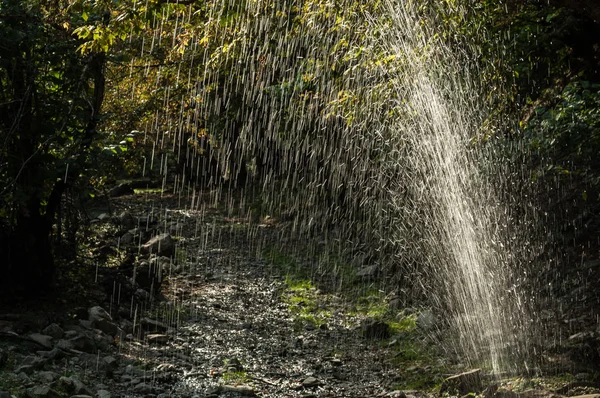 Wody Płynącej Fontanną Wody Spashing Lesie Jesień Las Selektywny Fokus — Zdjęcie stockowe