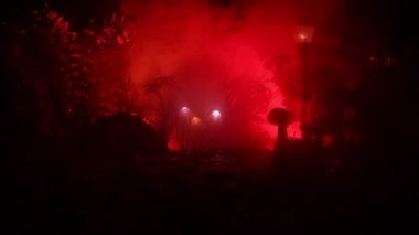 Gizem karanlık ormanın yakın çekim parlayan mantar. Güzel makro çekim sihirli mantar veya üç ruhları avatar ormanda kaybettim. Peri ışıkları sis zemin üzerine. Seçici odak