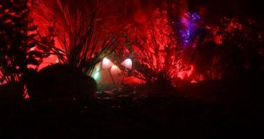 Gizem karanlık ormanın yakın çekim parlayan mantar. Güzel makro çekim sihirli mantar veya üç ruhları avatar ormanda kaybettim. Peri ışıkları sis zemin üzerine. Seçici odak