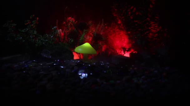 Glödande Svamp Mystery Mörka Skogen Närbild Fairy Lights Bakgrund Med — Stockvideo