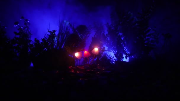謎の暗い森のクローズ アップで光るキノコ マジック マッシュ ルームやアバター森林で失われた つの魂の美しいマクロ撮影 フェアリー ライトの霧の背景に 選択と集中 — ストック動画