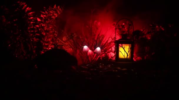 謎の暗い森のクローズ アップで光るキノコ マジック マッシュ ルームやアバター森林で失われた つの魂の美しいマクロ撮影 フェアリー ライトの霧の背景に 選択と集中 — ストック動画