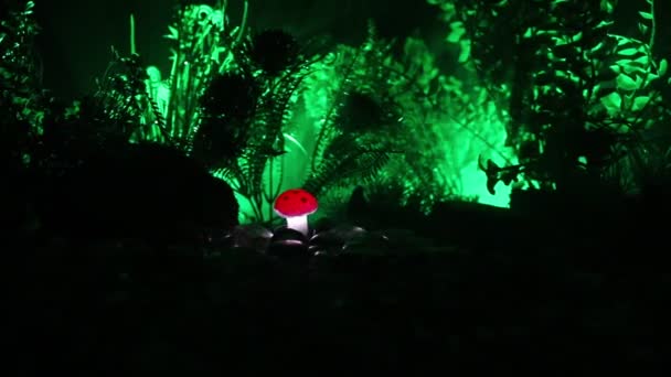 Glühender Pilz Geheimnisvollen Dunklen Wald Nahaufnahme Feenlichter Hintergrund Mit Nebel — Stockvideo