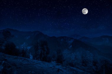 Yıldızlı gece dağlar ve orman ile güzel gece manzarası. Gece orman yeşil çayır ve dağ parlak yıldızlı gece veya görünümünde Samanyolu