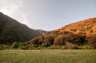 Güneşin doğuşuyla dağların güzel manzarası. Gün batımında dağlar. Azerbaycan Kafkasya Dağları