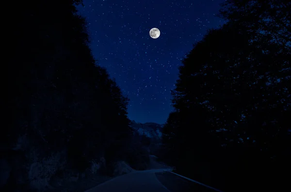 Mountain Road through the forest on a full moon night. Scenic night landscape of country road at night with large moon