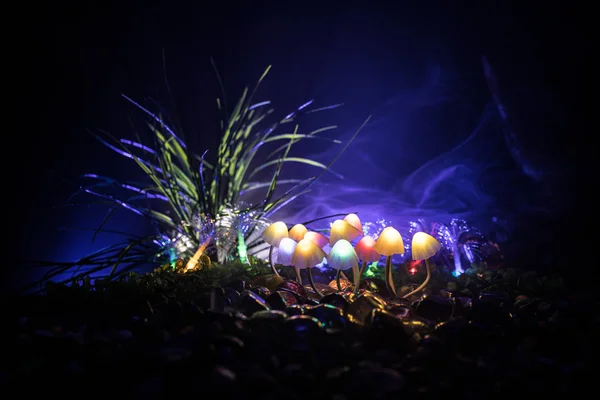 Fantasía Brillando Setas Misterioso Bosque Oscuro Cerca Hermoso Macroplano Hongo —  Fotos de Stock