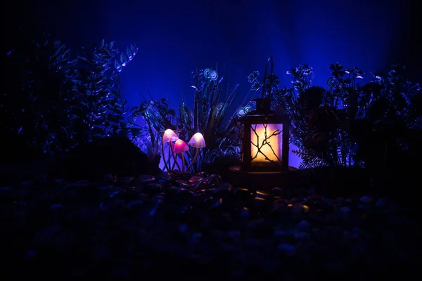 Fantasy Glowing Mushrooms Mystery Dark Forest Close Beautiful Macro Shot — Stock Photo, Image