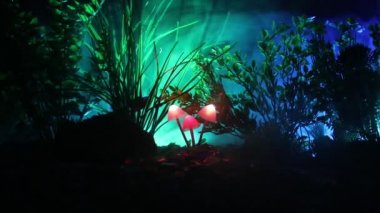 Gizem karanlık ormanın yakın çekim parlayan mantar. Güzel makro çekim sihirli mantar veya üç ruhları avatar ormanda kaybettim. Peri ışıkları sis zemin üzerine. Seçici odak