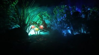 Gizem karanlık ormanın yakın çekim parlayan mantar. Güzel makro çekim sihirli mantar veya üç ruhları avatar ormanda kaybettim. Peri ışıkları sis zemin üzerine. Seçici odak