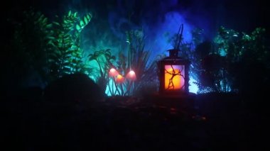 Gizem karanlık ormanın yakın çekim parlayan mantar. Güzel makro çekim sihirli mantar veya üç ruhları avatar ormanda kaybettim. Peri ışıkları sis zemin üzerine. Seçici odak