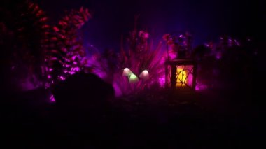 Gizem karanlık ormanın yakın çekim parlayan mantar. Güzel makro çekim sihirli mantar veya üç ruhları avatar ormanda kaybettim. Peri ışıkları sis zemin üzerine. Seçici odak