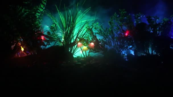 Светящиеся Грибы Таинственном Темном Лесу Крупным Планом Красивый Макроснимок Волшебного — стоковое видео