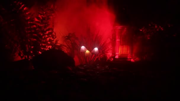 在神秘的黑暗森林特写镜头中发光的蘑菇 神奇蘑菇或三个灵魂在阿凡达森林中迷失的美丽的宏观镜头 与雾的背景上的仙灯 选择性对焦 — 图库视频影像