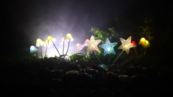 在神秘的黑暗森林特写镜头中发光的蘑菇 神奇蘑菇与星星的美丽的宏观镜头 与雾的背景上的仙灯 选择性对焦 — 图库视频影像