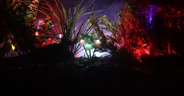 在神秘的黑暗森林特写镜头中发光的蘑菇 神奇蘑菇或三个灵魂在阿凡达森林中迷失的美丽的宏观镜头 与雾的背景上的仙灯 选择性对焦 — 图库视频影像