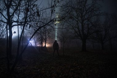 Gece karanlık bir orman parlak ışıkta. El feneri ile karanlık ormanın içinde duran kişi silüeti. Sis zaman karanlık gece ormanda. Korku Cadılar Bayramı kavramı.