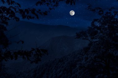 Yıldızlı gece dağlar ve orman ile güzel gece manzarası. Gece orman yeşil çayır ve dağ parlak yıldızlı gece veya görünümünde Samanyolu