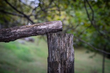 Doğal el yapımı ahşap ağaç brenches yapılan çit. Köy çit görünümünü kapatın. Azerbaycan. Doğa arka plan. Sonbahar