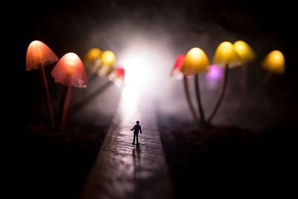 Caminando Través Fantasía Gigante Brillante Bosque Setas Silueta Hombre Pie — Foto de Stock