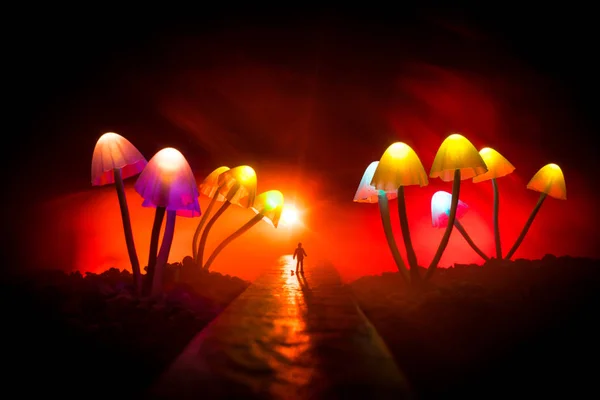Caminhando Pela Floresta Cogumelos Brilhante Gigante Fantasia Silhueta Homem Meio — Fotografia de Stock