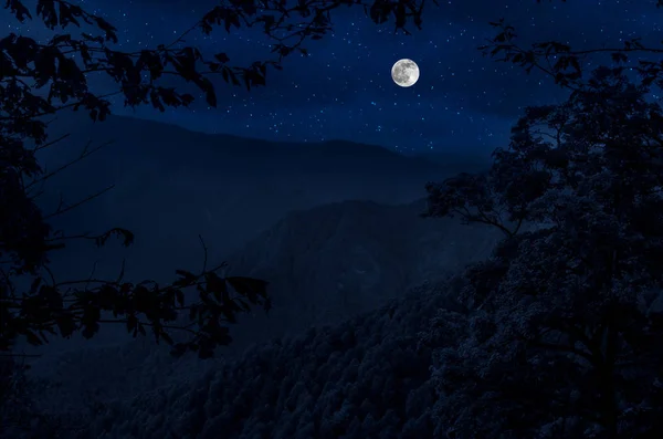 美丽的夜晚景观与繁星夜山和森林 夜森林与绿色草甸和山在明亮的繁星夜或银河看法 — 图库照片