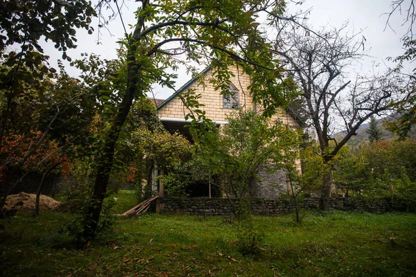 Belle Maison Village Paysagère Avec Des Arbres Forêt Automne Campagne — Photo