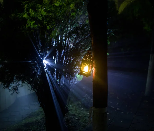 Bella Lampada Colorata Illuminata Giardino Nella Notte Nebbiosa Lanterna Stile — Foto Stock