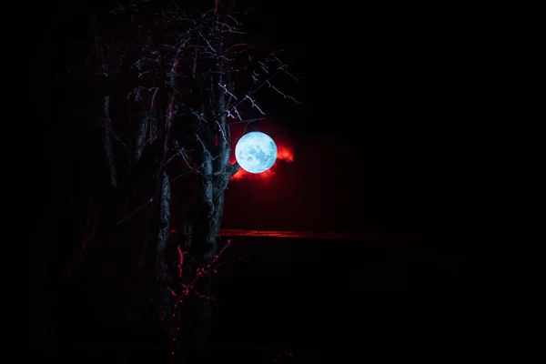 Beautiful Moon lamp in the garden in misty night. Retro style lantern at night outdoor. Selective focus