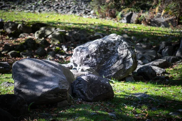 Grande Pedra Redonda Grama Verde Fechar — Fotografia de Stock