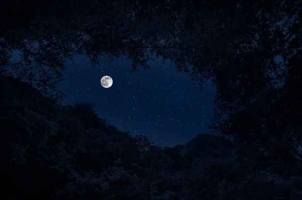 Όμορφο Νυχτερινό Τοπίο Έναστρη Νύχτα Στα Βουνά Και Δάσος Νύχτα — Φωτογραφία Αρχείου