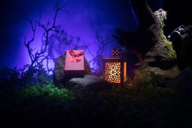 Sevgililer günü aşk kavramı. Gece güzel sanat dekorasyon küçük giftbox ve eski vintage fener ile. Giftbox gece taşlarla süslü sahte ormandaki. Boş alan seçici odak