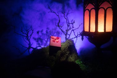 Sevgililer günü aşk kavramı. Gece güzel sanat dekorasyon küçük giftbox ve eski vintage fener ile. Giftbox gece taşlarla süslü sahte ormandaki. Boş alan seçici odak